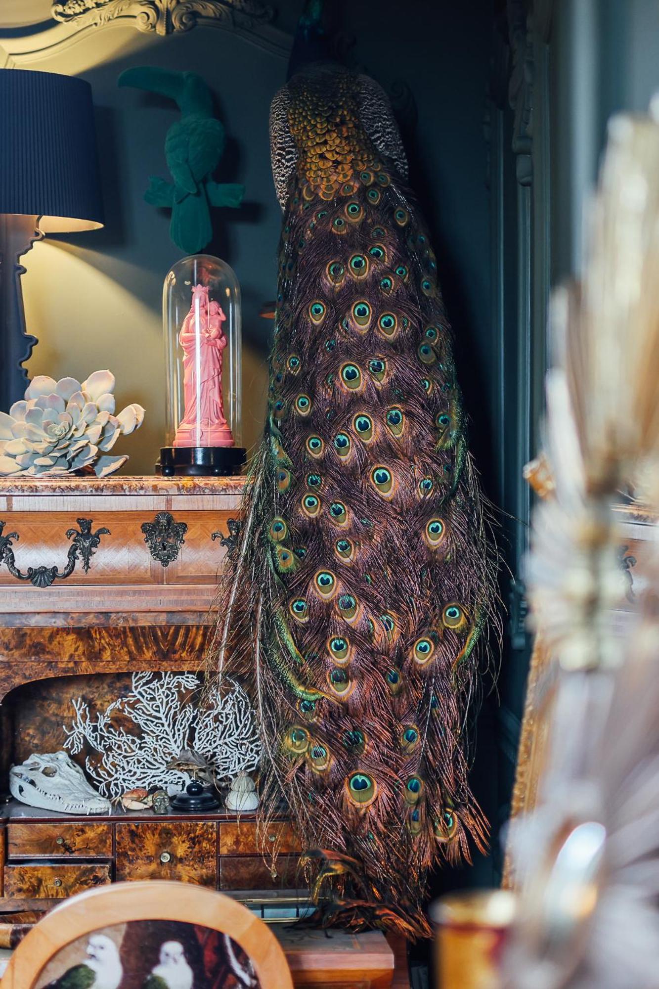 생말로 Malouiniere Guillaume Onffroy B&B 외부 사진
